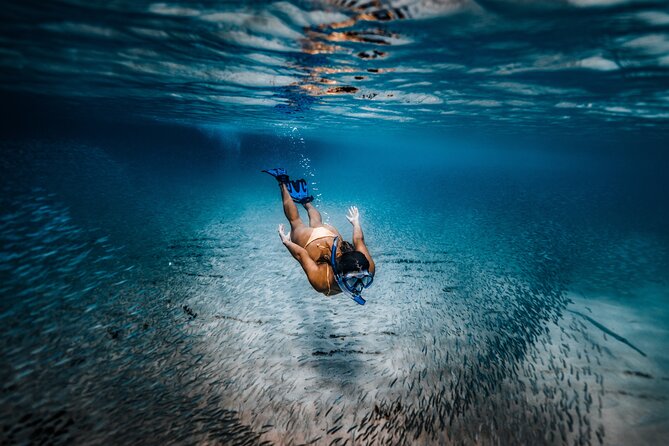 Private Guided Snorkeling in Cabo San Lucas - How a Private Cabo San Lucas Snorkeling Trip Works