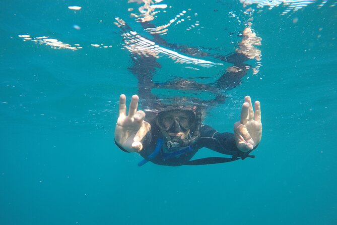 Private Guided Snorkeling in Cabo San Lucas - Responsible Touches and a Team That Matches Your Level