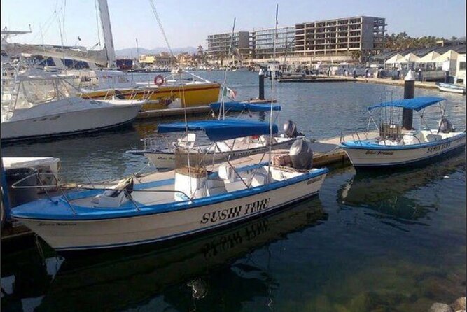 Private Half-Day Sport Fishing in Los Cabos - Price and Logistics, the Real Value Math