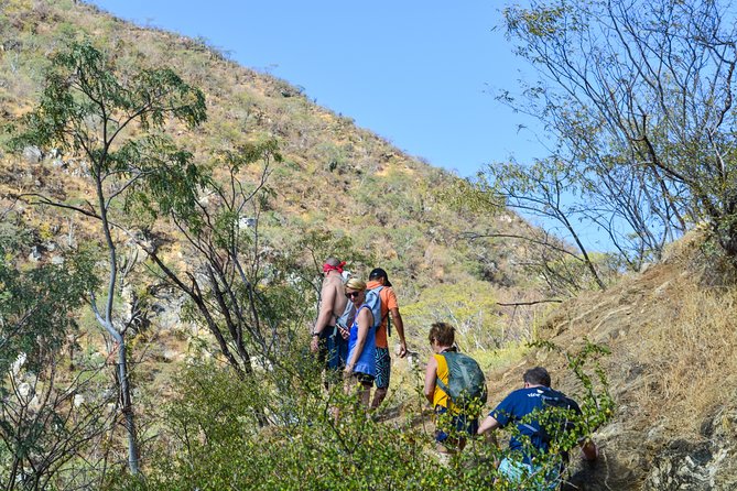 Private Hiking at the Fox Canyon from Cabo San Lucas - The role of your guide: English, desert facts, and names to remember