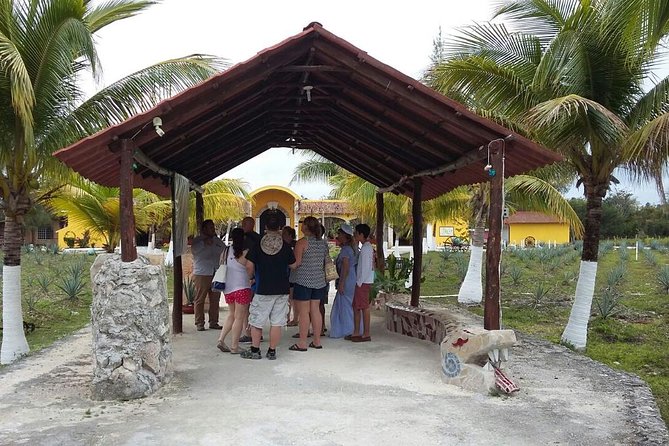 Private Jeep Excursion in Cozumel with Lunch and Snorkeling - Stop 5: Mercado Municipal for Real Food Breaks