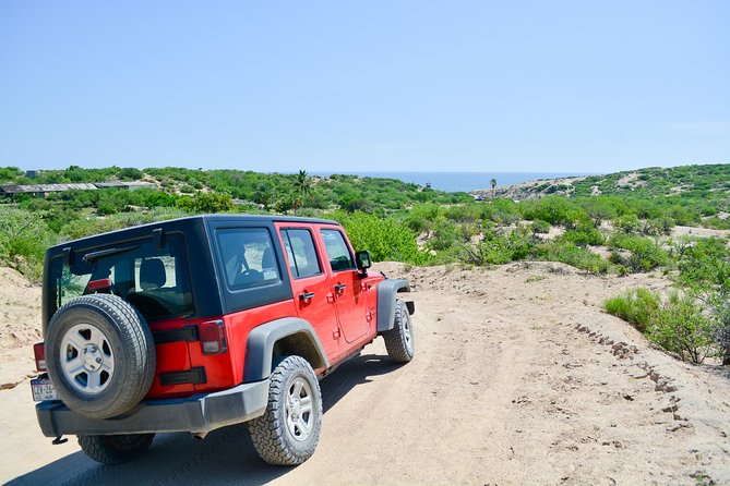 Private Jeep Tour Cabo Pulmo - Miraflores lunch at Restaurant Los Agaves: tacos, guacamole, and a vegan option