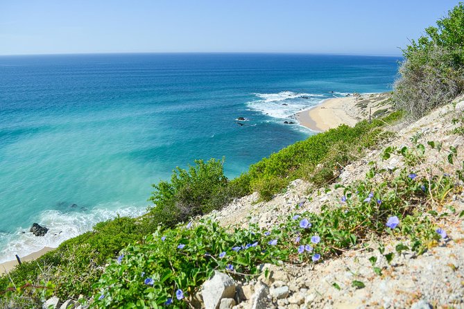 Private Jeep Tour Cabo Pulmo - La Carretera Transpeninsular return: getting back without rushing