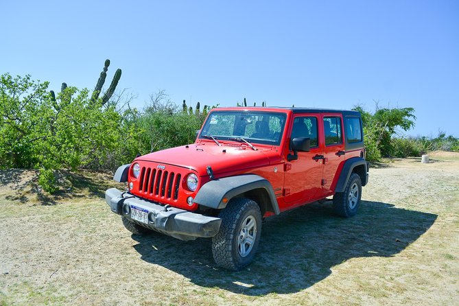 Private Jeep Tour Cabo Pulmo - Guides and group vibes: the people factor is real here