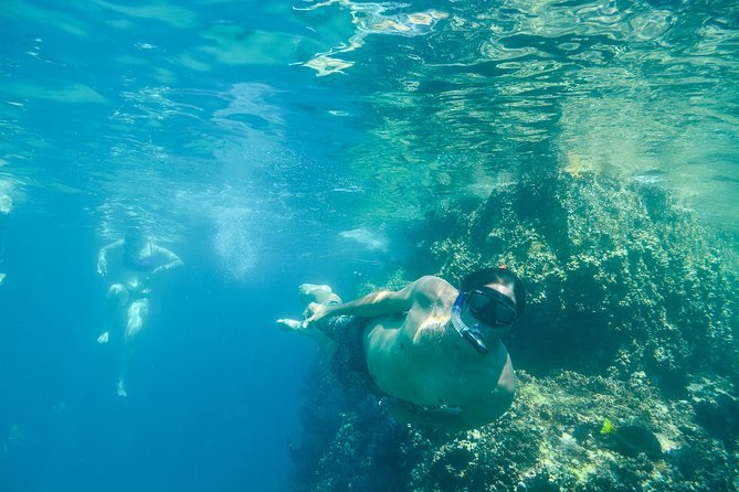 Private Los Cabos snorkeling tour to Chileno bay and Santa Maria cove - Stop 2 at Chileno Bay: clearer water, reefs, and a better shot at turtles and rays