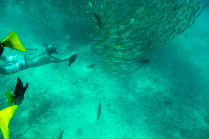 Private Los Cabos snorkeling tour to Chileno bay and Santa Maria cove - Gear, wetsuits, and comfort when you do not have lockers