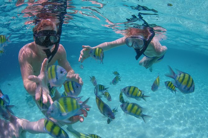 Private Luxury Sailing Cruise in Los Cabos with Lunch and Open Bar - Cruising El Arco and Lover’s Beach, why the timing matters