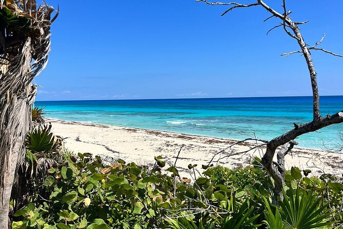 Private Mayan Ruins Tour with Cenote/caves and Mexican Picnic - Cenote Aerolito de Paraiso: swim time and the final wow moment