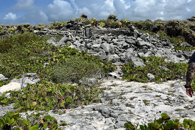 Private Mayan Ruins Tour with Cenote/caves and Mexican Picnic - Price and value for a private Cozumel half day
