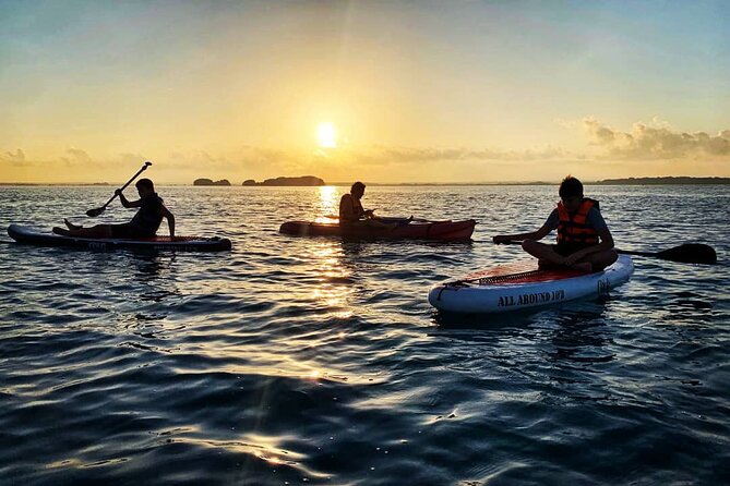 Private Paddle Tour at Sunrise - Price and value: why $74.51 can feel fair