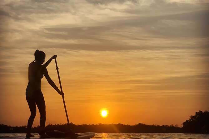 Private Paddleboard Experience in Bacalar - Key highlights worth planning around