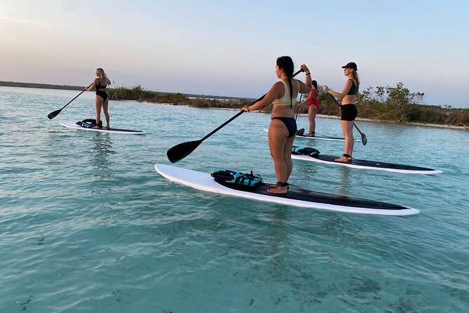 Private Paddleboard Experience in Bacalar - Getting there: Costera 451 meeting point and hotel pickup