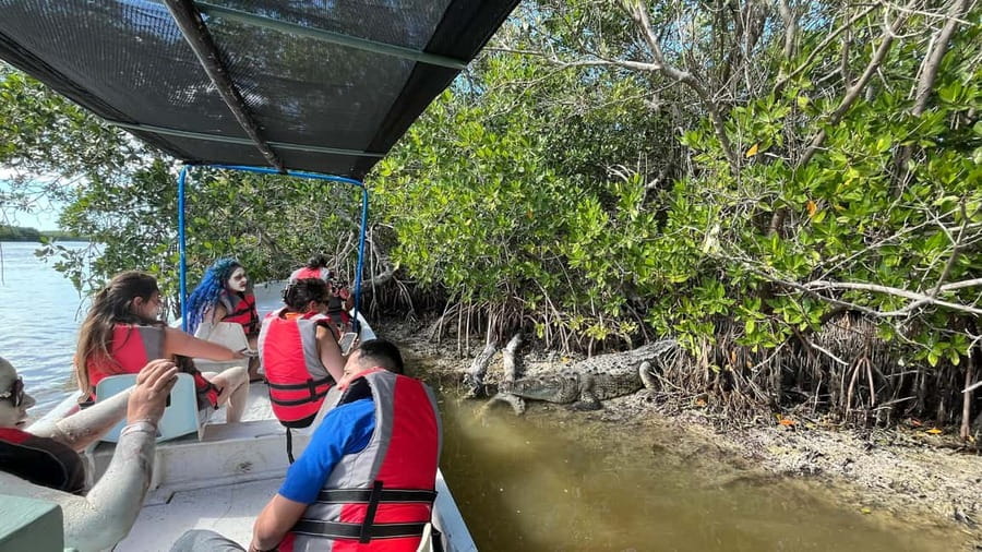 Private Ría Lagartos Boat Tour: Flamingos & Crocodiles - Ría Lagartos by boat: what 2.5 hours feels like