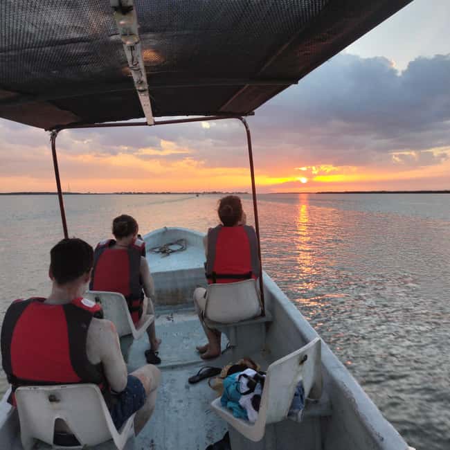 Private Ría Lagartos Boat Tour: Flamingos & Crocodiles - The mangrove cruise: where the birds and crocodiles come to life