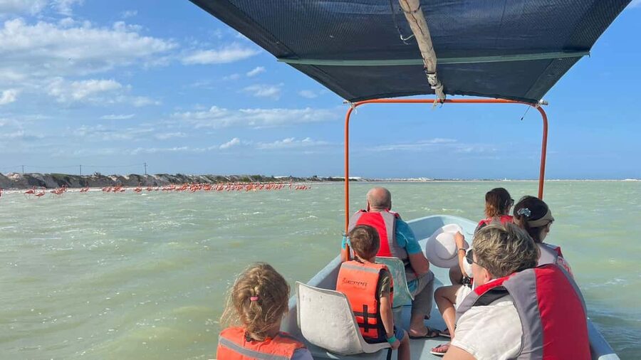 Private Ría Lagartos Boat Tour: Flamingos & Crocodiles - Crocodile spotting: close, but never chaotic