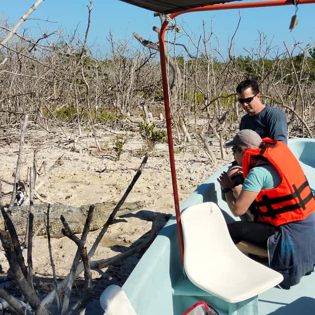 Private Ría Lagartos Boat Tour: Flamingos & Crocodiles - The virgin beach swim and rinse: turning the trip into a break
