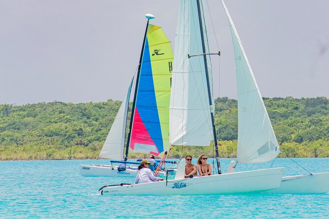 Private Sailing between Mangroves - Mangroves and Wetlands: Why the Quiet Part Feels So Good