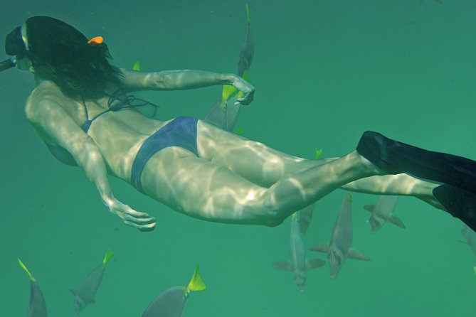 Private Snorkeling Tour in Cabo San Lucas - Gear and snacks: the small stuff that makes snorkeling easier