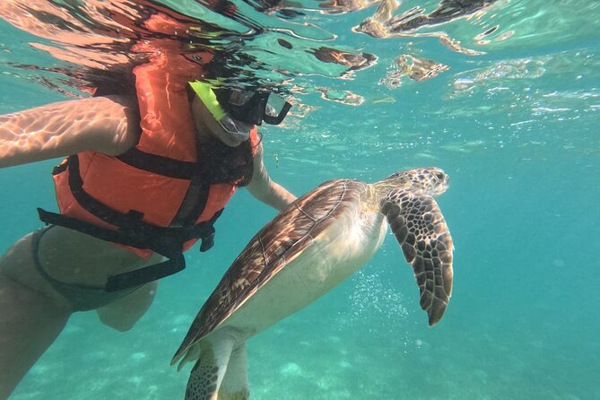 Private Snorkeling with Sea Turtles in Akumal Beach - Why Akumal Bay turtles feel different on a private swim