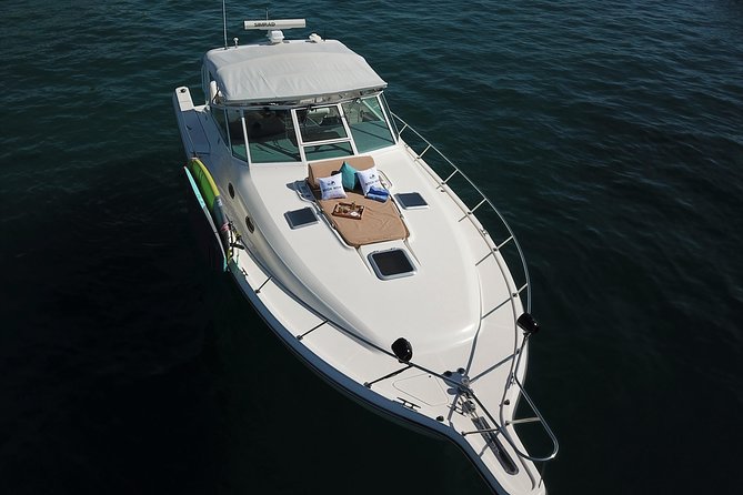 Private Sunset Cruise- 3 Hour - Wildlife Moments: Whales, Sea Lions, and That One Perfect Spacing