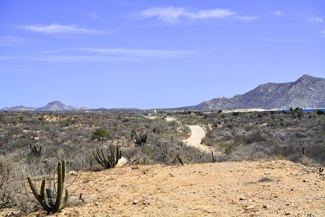 Private Tour Baja Jeep 4x4 Adventure at Los Cabos - Stop by stop: desert, biosphere country, canyon water, and a Tropic marker