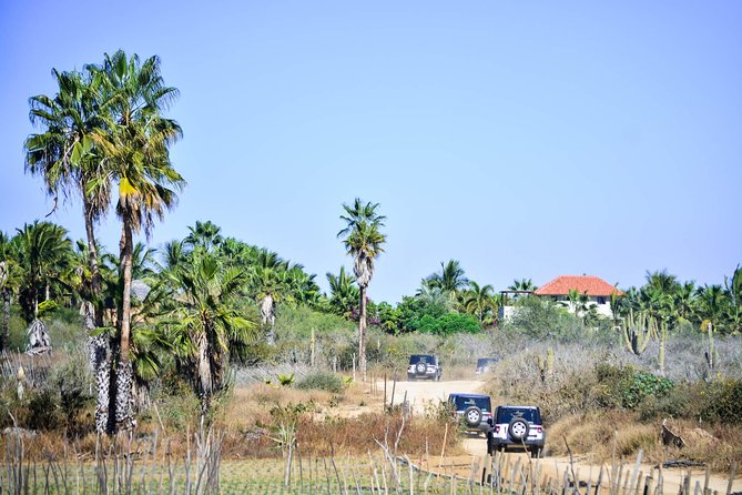 Private Tour Baja Jeep 4x4 Adventure at Los Cabos - Who should book this Jeep adventure, and who should skip it