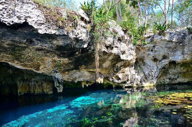 Private Tour The Best Cenotes in Tulum Riviera Maya - Key Highlights That Make This Cenote Day Different