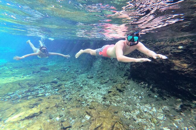 Private Tour The Best Cenotes in Tulum Riviera Maya - Pickup and Timing: The 7:50 am Start Is the Secret Sauce