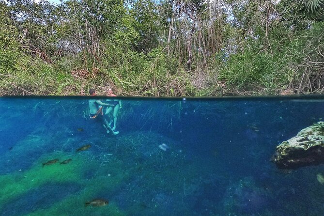 Private Tour The Best Cenotes in Tulum Riviera Maya - Mexican Lunch and Snacks: Refueling Without Breaking the Flow