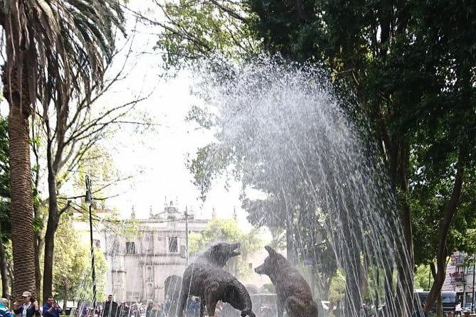 Private Tour: Xochimilco, Coyoacan and Frida Kahlo Museum - Coyoacán: where art lives, and you can actually walk it off