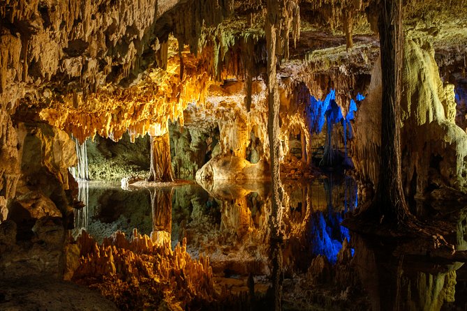 Private Turtles & Cenotes Adventure - Cenote Swim: Freshwater Relaxation With Stalactites and Stalagmites Close Up