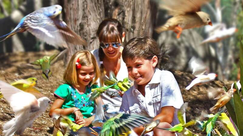 Puebla Africam Safari Park, Live an Unforgettable Adventure! - What to Bring and What Not to Do Inside the Park
