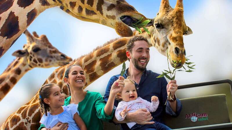 Puebla Africam Safari Park, Live an Unforgettable Adventure! - Africam Safari Puebla: What Makes This Park Different