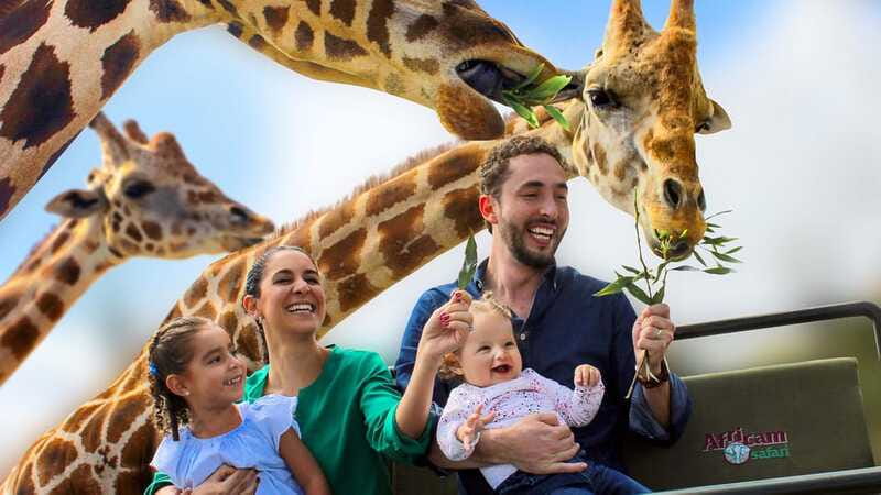 Puebla Africam Safari Park, Live an Unforgettable Adventure! - The Schedule in Plain Terms: 45 Minutes Out, 4 Hours Safari, 45 Minutes Back