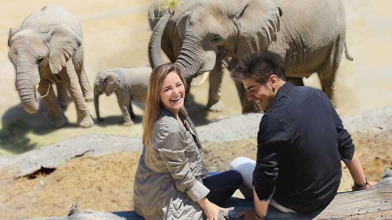 Puebla Africam Safari Park, Live an Unforgettable Adventure! - The Habitats to Watch For: Okavango, Oasis, Kalahari, Serengeti, Bakuli, Huasteca