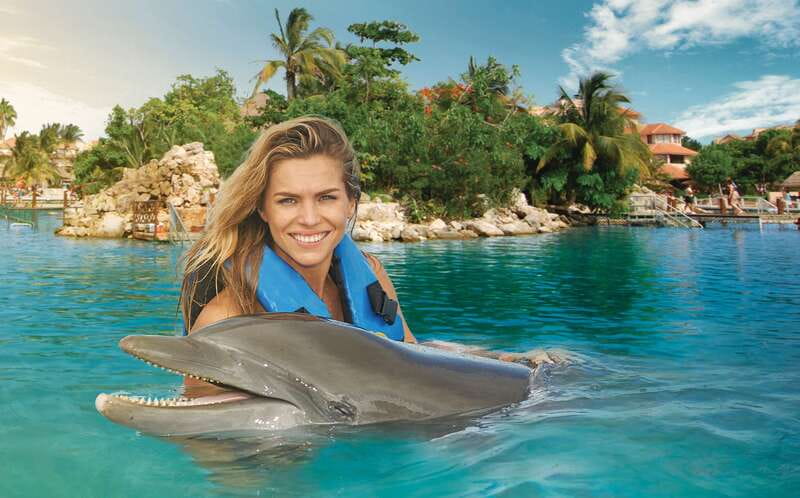 Puerto Aventuras: Dolphin Swim, Sea Lions, Manatees, & Lunch - Puerto Aventuras: Why this setting works for a dolphin swim day