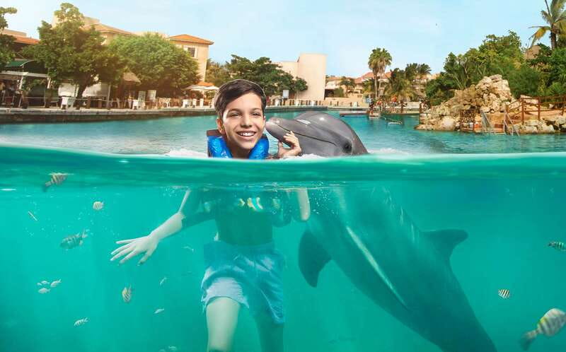 Puerto Aventuras: Dolphin Swim, Sea Lions, Manatees, & Lunch - Dolphin swim for 60 minutes: hand target plus playtime