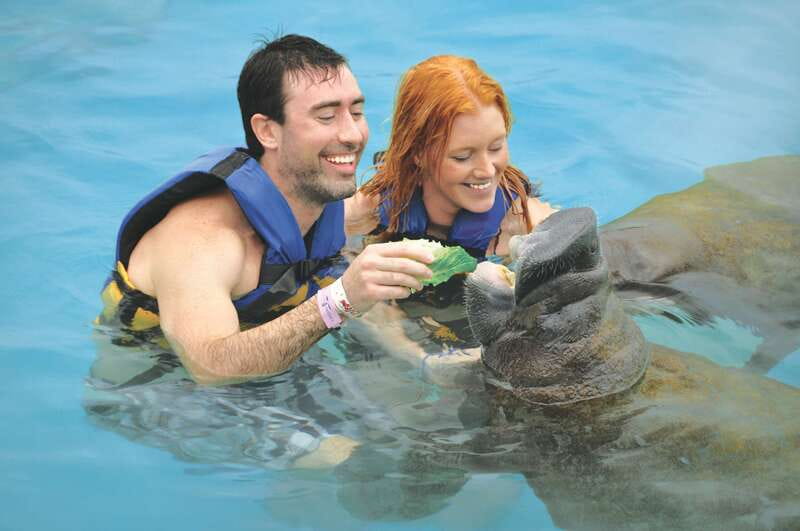 Puerto Aventuras: Dolphin Swim, Sea Lions, Manatees, & Lunch - Lunch, marina facilities, and why this break helps