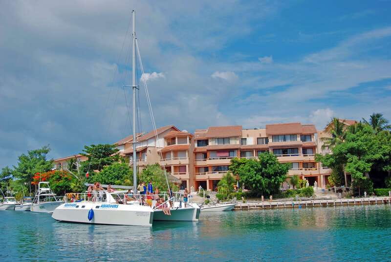 Puerto Aventuras: Dolphin Swim, Sea Lions, Manatees, & Lunch - Should you book this Puerto Aventuras Dolphin Discovery Royal Swim Plus?