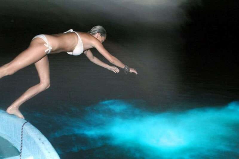 Puerto Escondido: Bioluminescence Night Spectacle - Price and value: what $46 buys you in real terms