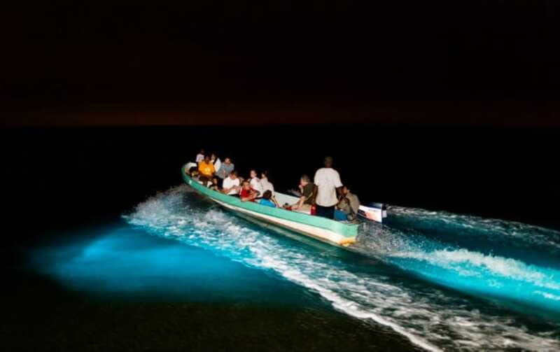 Puerto Escondido: Bioluminescence Night Spectacle - Who should book this bioluminescence tour, and who should skip it