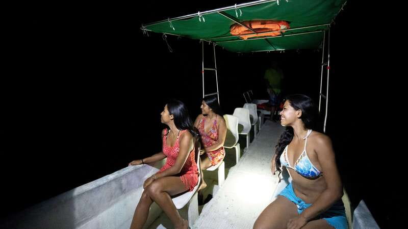 Puerto Escondido: Bioluminescence Night Spectacle - Entering Manialtepec: what makes the bioluminescence happen