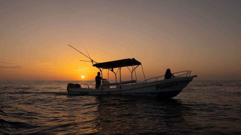 Puerto Escondido: Boat Tour among Dolphins and Turtles - Morning pickup at 7:00 AM, and why the early start pays off