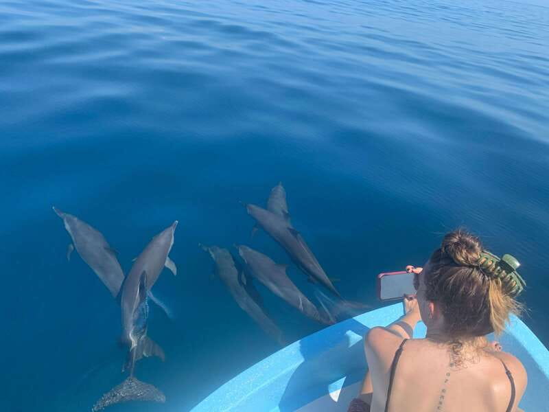 Puerto Escondido: Boat Tour to see Dolphins and Marine Life - Puerto Angelito departure: dolphins, snorkeling, and winter whales