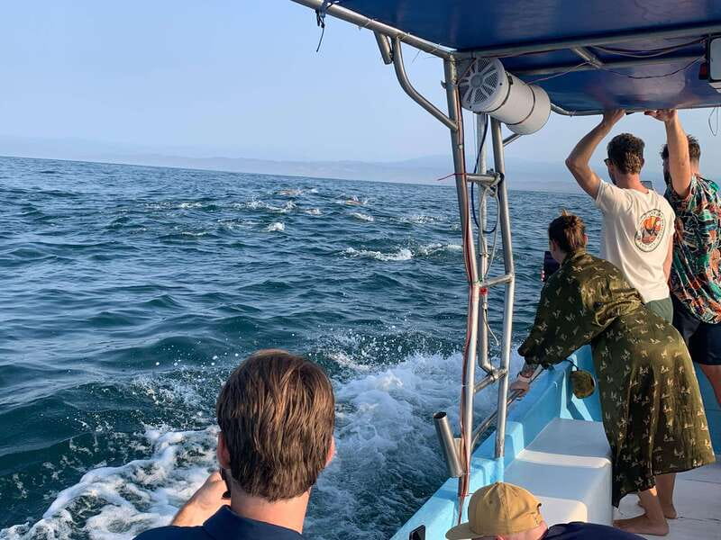 Puerto Escondido: Boat Tour to see Dolphins and Marine Life - How the 2.5 to 3 hour route is paced, from photo stop to return