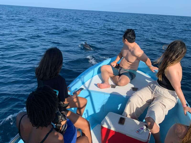 Puerto Escondido: Boat Tour to see Dolphins and Marine Life - Snorkeling reefs and shore fish, with safety-driven wave checks