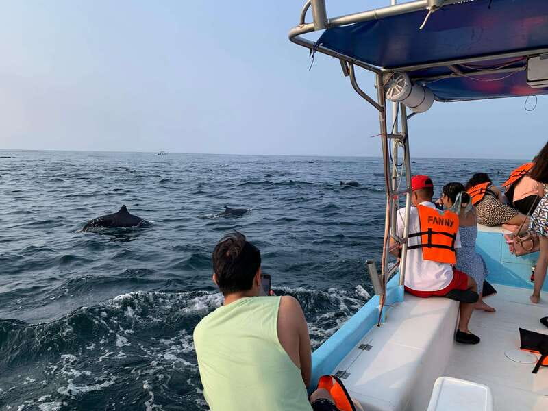 Puerto Escondido: Boat Tour to see Dolphins and Marine Life - On-board comfort that keeps the day easy, music and cooler drinks
