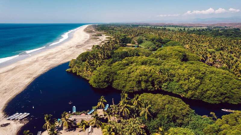 Puerto Escondido: Oaxaca Coast Wildlife Ecotour - Key Things I’d Focus on Before Booking