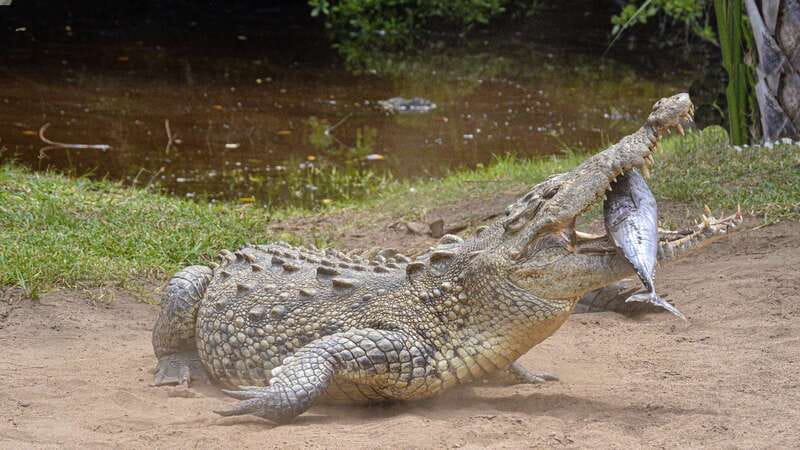 Puerto Escondido: Oaxaca Coast Wildlife Ecotour - What to Pack for a Smooth Coast Day