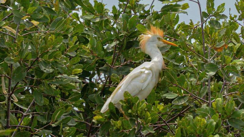 Puerto Escondido: Oaxaca Coast Wildlife Ecotour - From Puerto Escondido: The Comfort Factor Matters